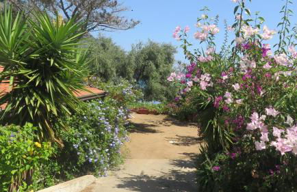 Casa con giardino sulla spiaggia - Foto 15