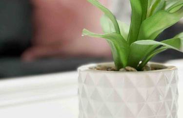 House of Color EVV Stylish Apartments - Foto 9