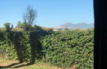 Dreams Valley - Foto 40