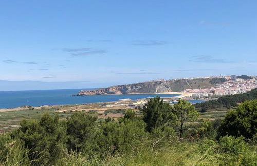 Bela Baia Holiday - Photo 35