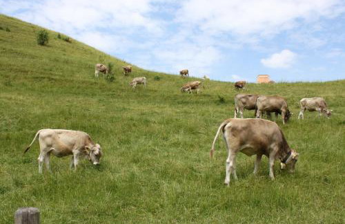 Ferienwohnung Gipfelblick - Foto 13