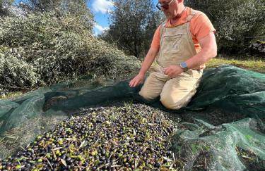 Casa da Curva - Foto 63