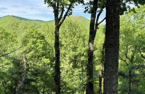 Quiet Ellijay Cabin 2 Master Ensuites, Stunning Views, Hot Tub, Dogs Welcome - Foto 74