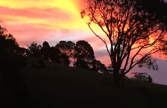 Fig Tree Retro Studio - Foto 22