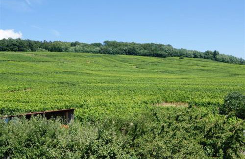 Gîte Binnert Bader - Foto 25