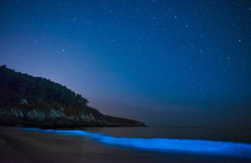 Casa do Grallo - Foto 53