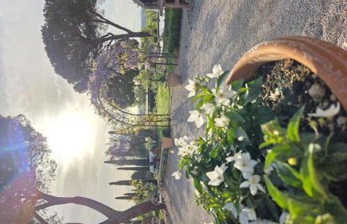 Villa Nobile Cortona - Foto 23