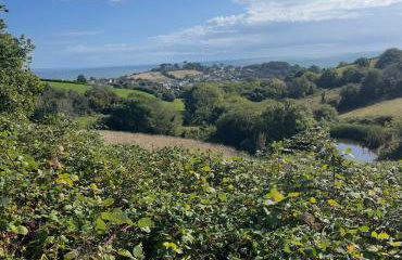 The Farmhouse - Photo 64