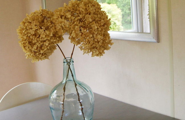 Beautiful Chalet in Appelscha Near the Woods - Foto 13