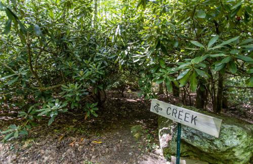 Martins Nest - Foto 33