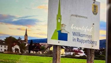 Pfalzzimmer - Foto 4