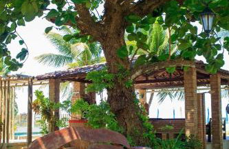 Morada da Praia - Porto de Pedras à Beira-Mar - Foto 21