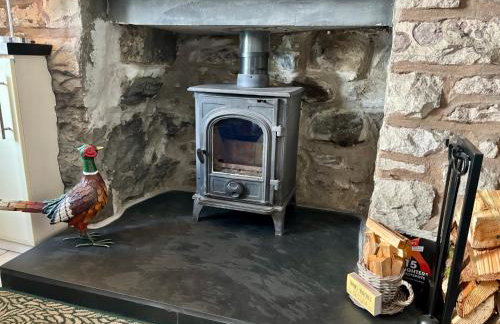 Loch Ness village cottage for 2 with free parking & pets welcome - Foto 28