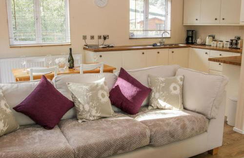 Alder River Lodge Clun Valley Luxury Hot Tub Break - Foto 9