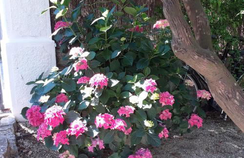 Au fil de l eau - Foto 46