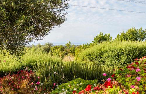 Quinta da Baleeira - Foto 26