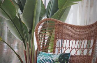 Apartaments Posidonia - Foto 34