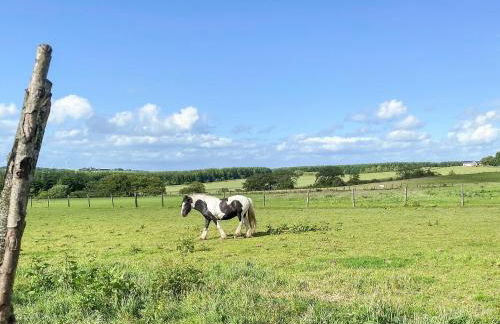 Seven Seasons - Photo 22