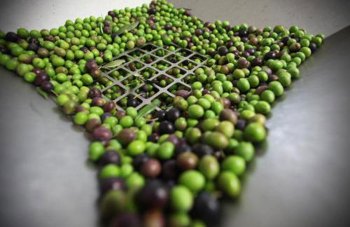 Il Favogoloso - Foto 47