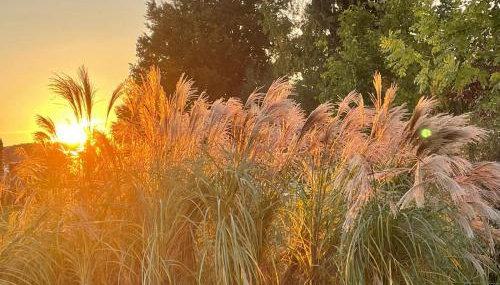 150qm Luxusloft mit Sauna - niedrige Preise bis Sommer! - Foto 2