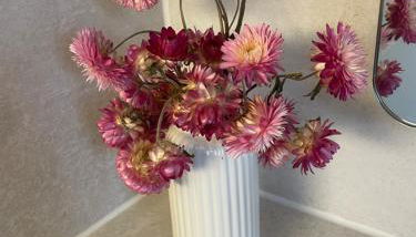 FeWo zur kleinen Auszeit - Foto 4