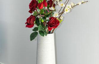 Villa Mika à 5min de la plage - Photo 27