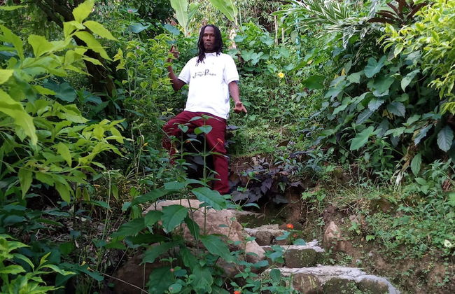 Berkey's Jungle Paradise - Photo 45