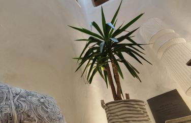 Panoramic Suites - Casa degli Artisti - Foto 45