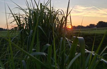 Apartement Nähe München - Foto 20