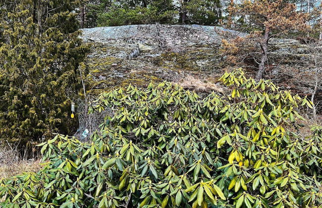 6 Person Holiday Home in Tyreso-by Traum - Photo 22