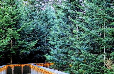 Appartement Herrlich - Foto 51