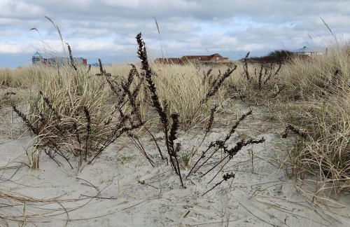 Ferienwohnung Sielblick Dornumersiel - Hundefreundlich - Foto 37