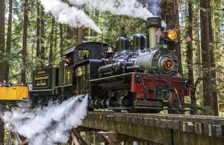 Redwood Oasis - Private Heated Pool by State Park! - Foto 42