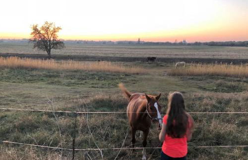 Großzügige Gutshaus-Wohnung nahe Saale und Elbe - Foto 22