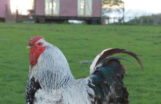 Off the Rails - Foto 7