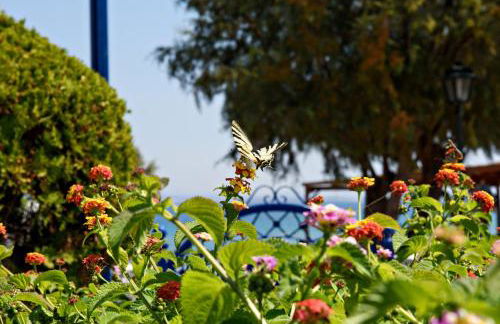 Karfas Bay View - Photo 2