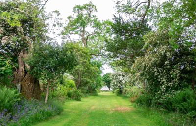 Steading Cottage - 50m from the beach - Foto 23