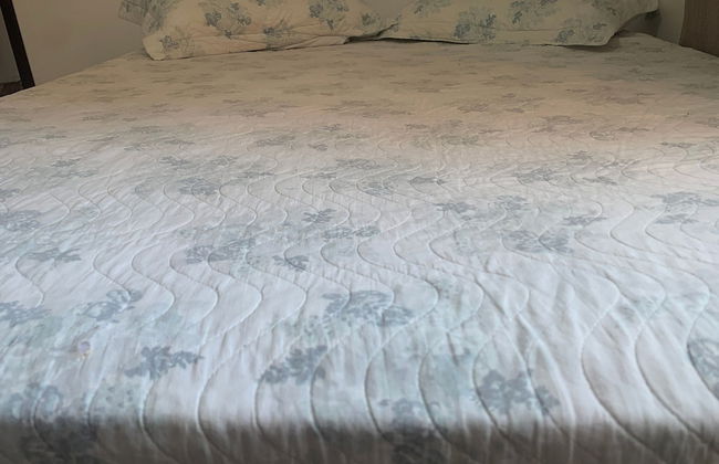 Casa Família: Praia, Campeche e Conforto - Photo 8