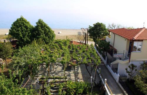 Fasoli Studios - Foto 65