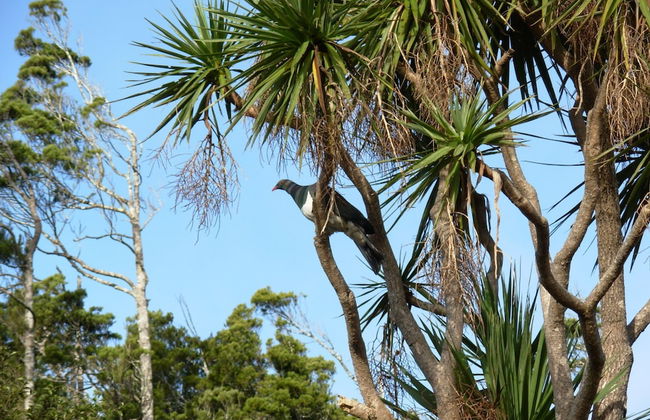 Wetland View Park - Photo 14