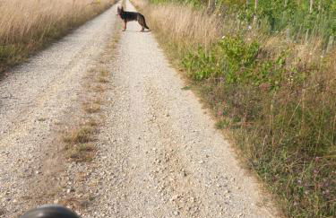 Clos des Loriots - Foto 33