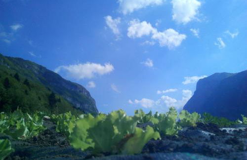 AGRITURISMO MASO PERTENER -adults friendly- - Foto 36