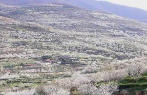 Apartamentos Dacris - Foto 67