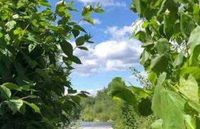 Bambou lodge anduze, les pieds dans l'eau - Foto 3