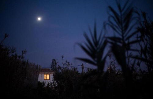 Caso no Campo - Stunning Home By The Sea - Foto 40