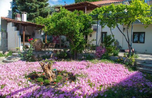 Mikros Paradisos Pelion - Foto 37