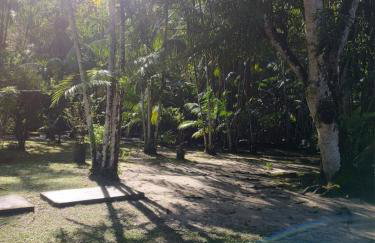 Chácara Bela Vista - Photo 43