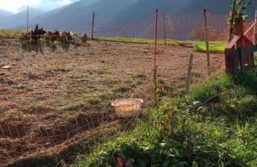 Gasleidhof - Photo 10