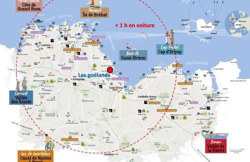 Les goélands - Foto 12