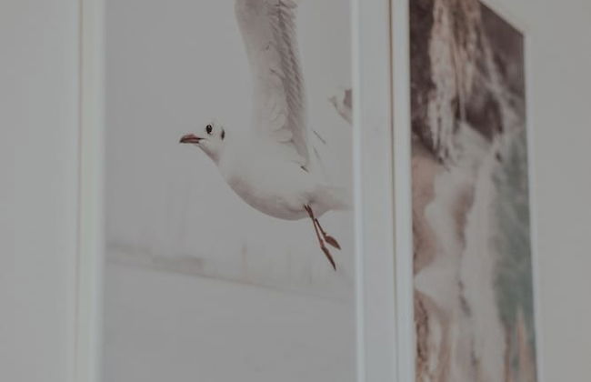 Fabiola Condo Hotel - Foto 23